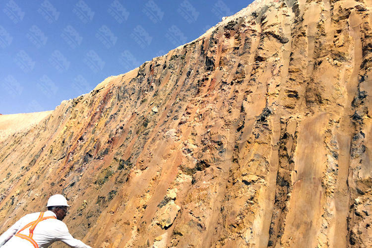 西非日产2000吨金矿氰化线